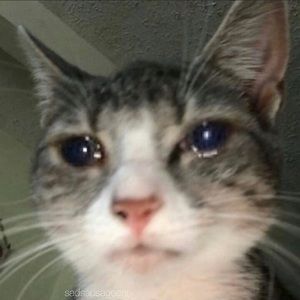 Meet your Posher, Gage